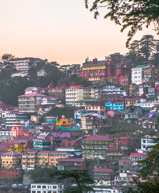 Shimla
