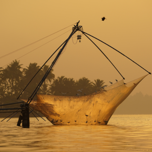 The Chinese Fishing Nets