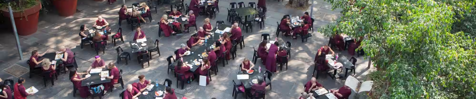 OSHO International Meditation Resort